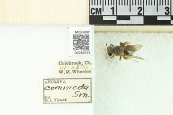 Media type: image;   Entomology 769273 Aspect: Labels